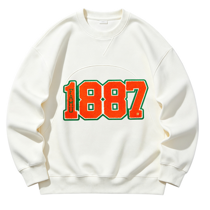 FAMU 1887 Legacy Rattler Chenille Embroidered Patches Florida A&M University HBCU Iron on Patches